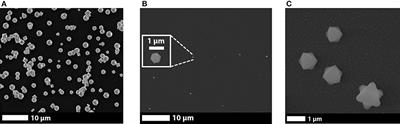 Nitrogen Dioxide Selective Sensor for Humid Environments Based on Octahedral Indium Oxide